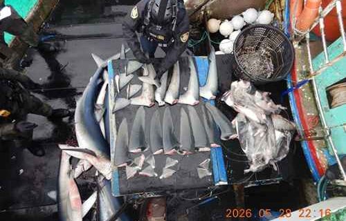 NOAA Fisheries Enforcement Officers Deploy for High Seas Patrols Combatting Illegal, Unreported, and Unregulated Fishing