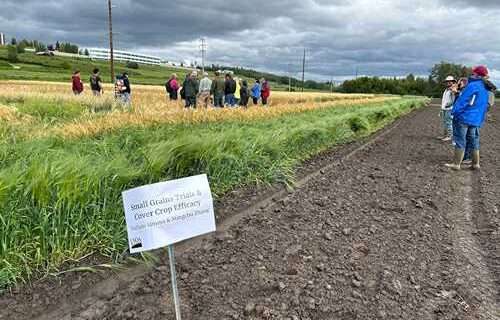 Alaska agricultural science on display at Field Days