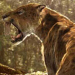 Prehistoric Predators with Supersized Teeth Had Beefier Arm Bones Prehistoric Predators with Supersized Teeth Had Beefier Arm Bones