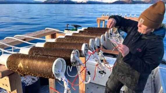 Foundations of kelp farming: Educating the new wave of aquatic farmers