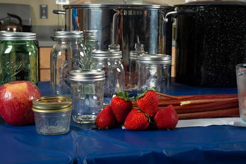 Webinar covers the basic methods of food preservation