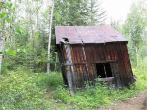 Buildings like this shed at the townsite of Fortymile in the Yukon don’t last forever. Water is the chief agent of destruction. Photo by Ned Rozell.