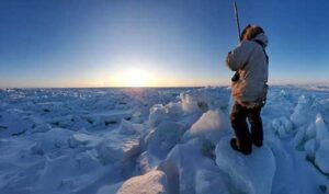 Photo by Caroline Nashookpuk. Alaska Arctic Observatory and Knowledge Hub observer Guy Omnik watches from land-fast sea ice near Tikiġaq (Point Hope), Alaska.