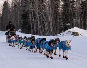 Image-Iditarod.com