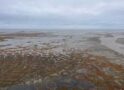 Arctic river deltas store 5% of world’s frozen carbon