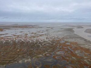 UAF photo by Ben Jones
The Ikpikpuk River delta meets the ocean in northern Alaska.