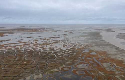 Arctic river deltas store 5% of world’s frozen carbon