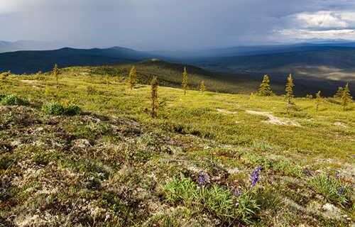 BLM reduces fire closure for the western White Mountains National Recreation Area