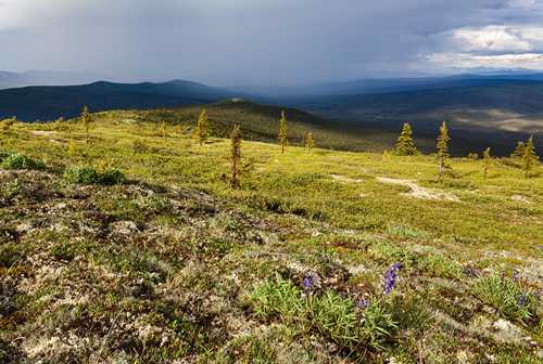 View of the White Mountains from Wickersham Dome
