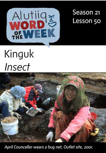 Insect-Alutiiq Word of the Week-June 9th