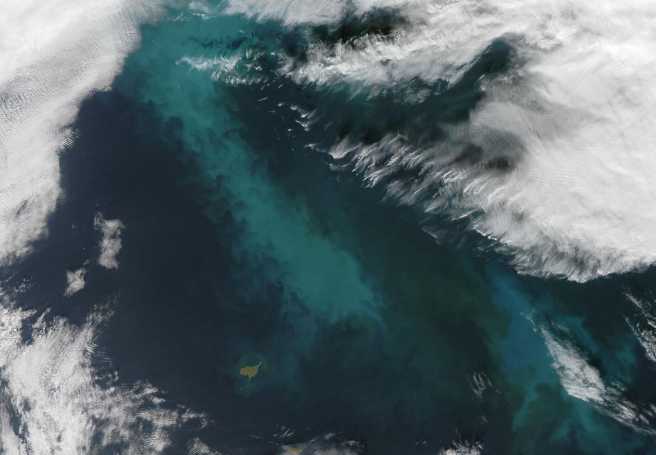 Bacteria Feeding on Arctic Algae Blooms can Seed Clouds
