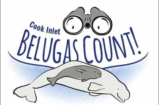 Third Annual Belugas Count! set for September 21, 2019