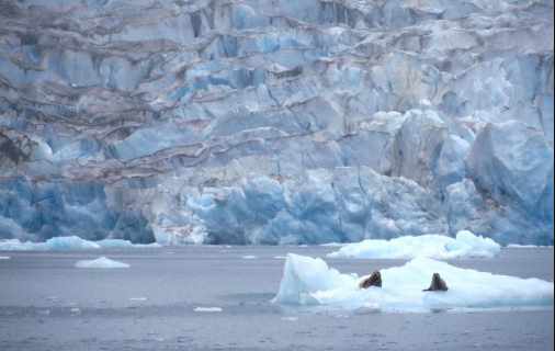 International Climate Report holds Special Value for Alaska