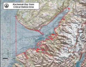 Map showing the Kachemak Bay Critical Habitat area. Image-ADF&G