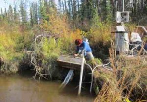 Undergraduate intern Adela Contreras performs maintenance on water quality sensors at a sampling site on French Creek in the Yukon Training Area near Eielson Air Force Base. Photo by Tamara Harms