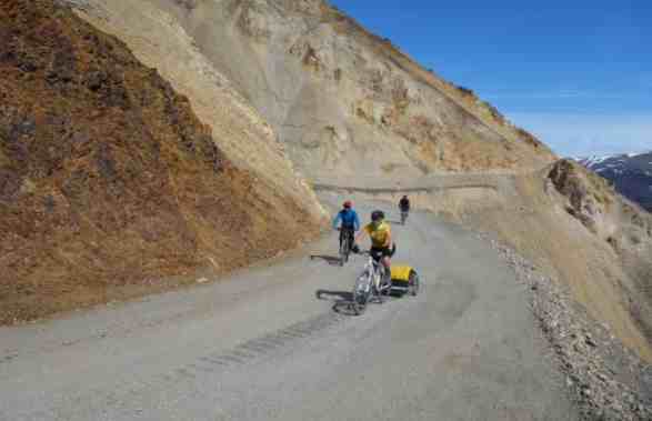 Denali Park Road Failings and Other Stories