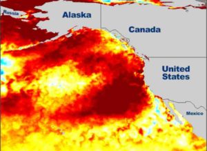 Sea surface temperature anomaly maps show temperatures above normal in orange and red. Image-NOAA