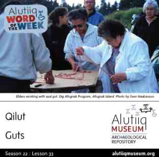 Guts-Alutiiq Word of the Week-February 9th