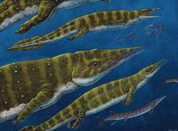 New Thalattosaur Species Discovered in Southeast Alaska