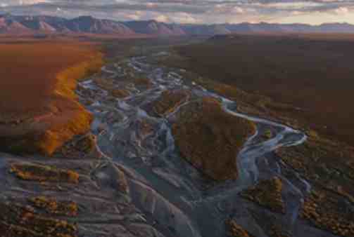 Alaska Wilderness League Applauds Biden Executive Order Halting Arctic Refuge Oil Program