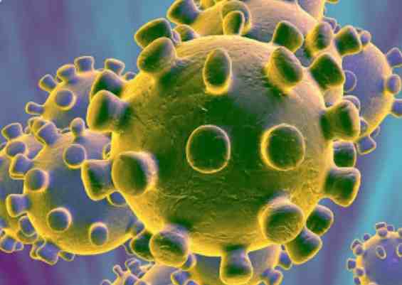 SEARHC Taking Proactive Approach with Novel Coronavirus