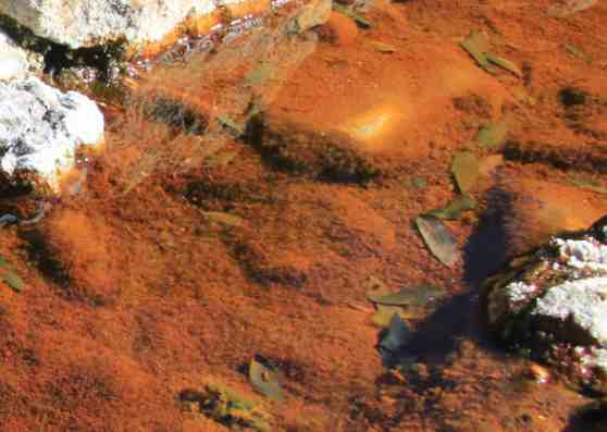 NEW REPORT: 80% of Alaska Metal Mines Polluted Water