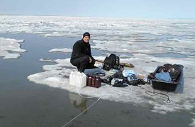 Hidden Source of Carbon Found on the Arctic Coast