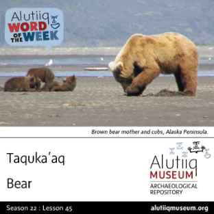 Bear-Alutiiq Word of the  Week-May 4th