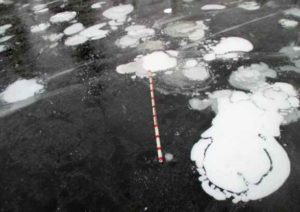 Photo by Melanie Engram Methane ebullition bubbles form in early winter lake ice in Interior Alaska. A yard stick is included for scale.