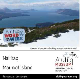 Marmot Island-Alutiiq Word of the Week-June 8th