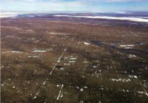 Photo by Matt Nolan An early spring view of tracks left by a 3D seismic survey conducted in winter 2017-2018. The spacing of the tracks in the photo is 200-by-400 meters, rather than the 200-by-200-meter grid proposed by SAExporation. The photo is not an example of the long-term damage found by researchers in other areas.