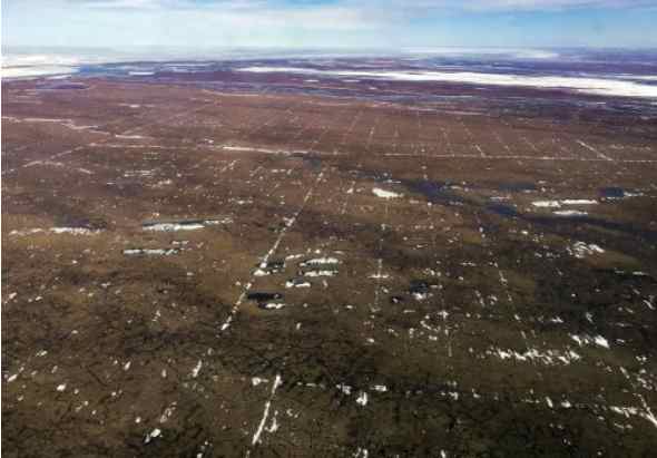 Proposed seismic surveys in Arctic Refuge likely to cause lasting damage