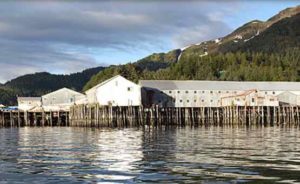 Copper River processing facility. Image-copperriverseafoods.com