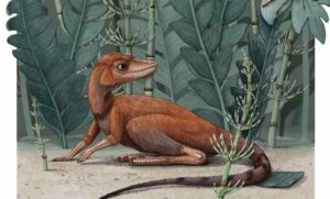 Illustration of Kongonaphon kely, a newly described reptile near the ancestry of dinosaurs and pterosaurs, in what would have been its natural environment in the Triassic (~237 million years ago). CREDIT Alex Boersma
