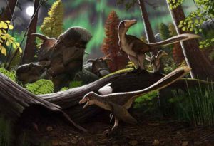 Fossil jawbone from Alaska is a rare case of a juvenile Arctic dromaeosaurid dinosaur CREDIT Andrey Atuchin