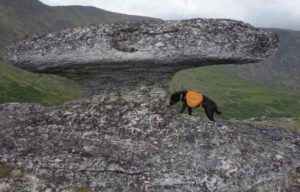 A Mushroom-shaped granite tor 60 miles from Fairbanks. Image-Ned Rozell