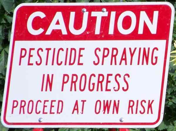 Renewed Calls to Ban Glyphosate After Toxic Herbicide Found in 80% of US Urine Samples
