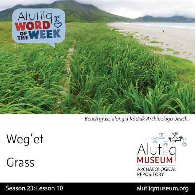 Grass-Alutiiq Word of the Week-August 30th