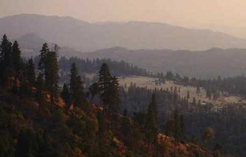 Trump Plan to Open National Forests to Oil and Gas Drilling Rebuked as Attack on Biodiversity and Indigenous Lands