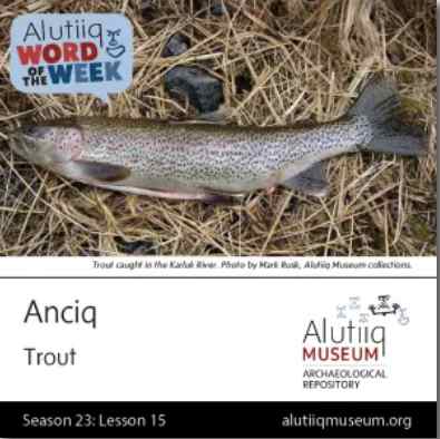 Trout-Alutiiq Word of the Week-October 4th