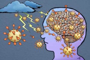 The S1 protein likely causes the brain to release inflammatory products causing a storm in the brain, researchers said. CREDIT Alice Gray