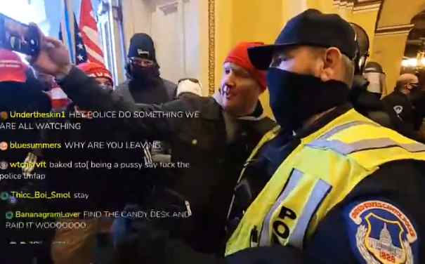 Probe Demanded After Footage Shows Capitol Police Standing Aside for Pro-Trump Mob