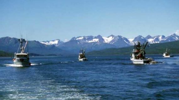 Alaska Sea Grant Lands Gift to Boost Commercial Seafood Harvesters