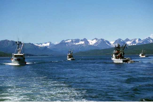 Alaska Sea Grant Lands Gift to Boost Commercial Seafood Harvesters