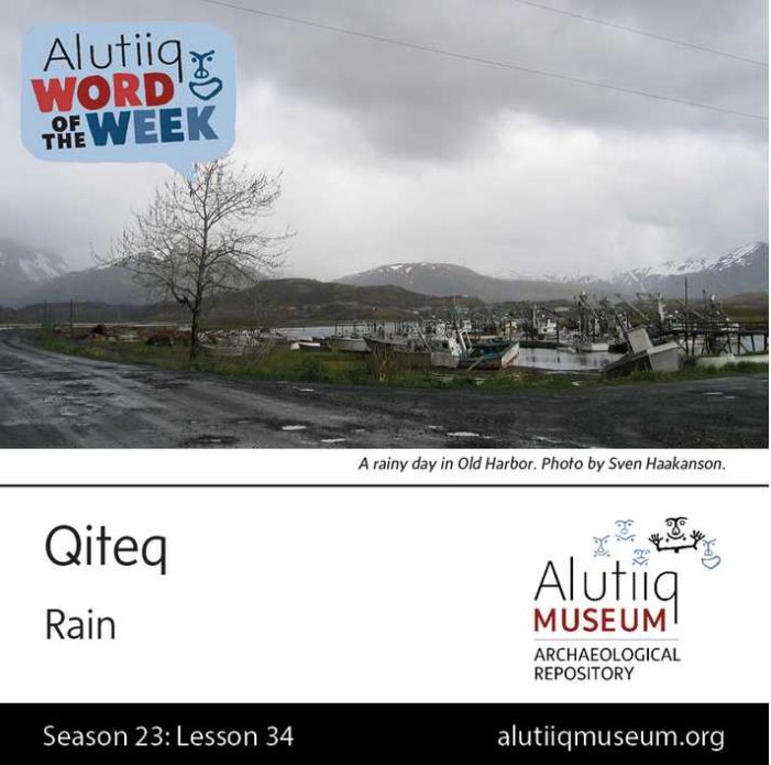Rain-Alutiiq Word of the Week-February 14th