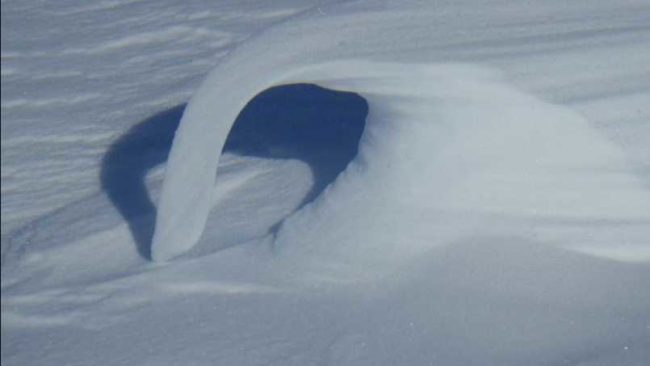 A snowdrift that shows the effect of sintering after wind bashed around the crystals. Image-Matthew Sturm