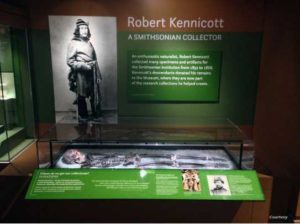 The skeleton of Robert Kennicott, a 19th century collector for the Smithsonian, which is now part of a Smithsonian collection. (Courtesy Smithsonian National Museum of Natural History)