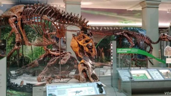 Smithsonian Institution Marks 175th Anniversary