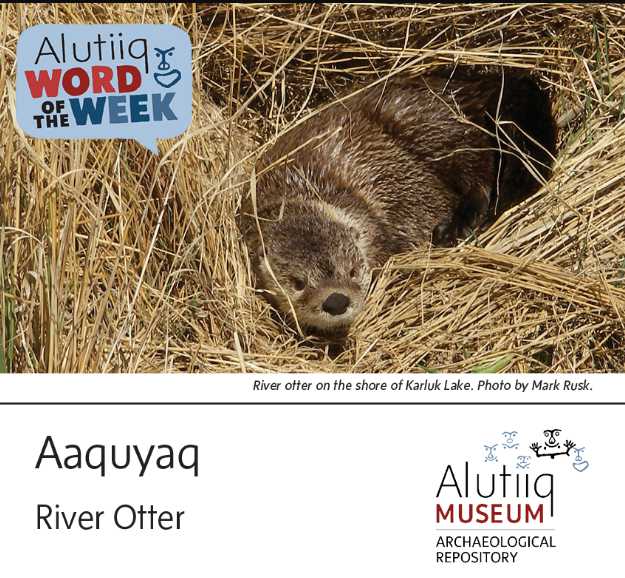 River Otter-Alutiiq Word of the Week-April 19th