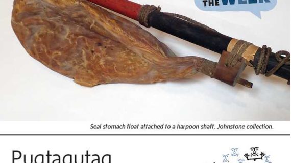 Seal Float-Alutiiq Word of the Week-April 25th